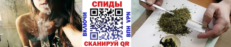 это телеграм  omg сайт  Тайга  Бутират BDO 33% 