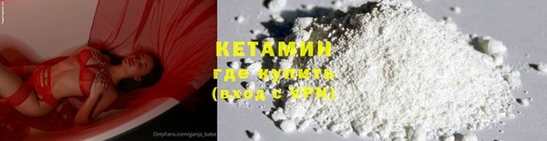 крисы Няндома
